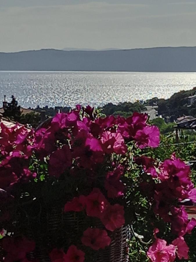 Garfild 1 Guest House Novi Vinodolski Εξωτερικό φωτογραφία